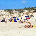 Time to soak up the Sun